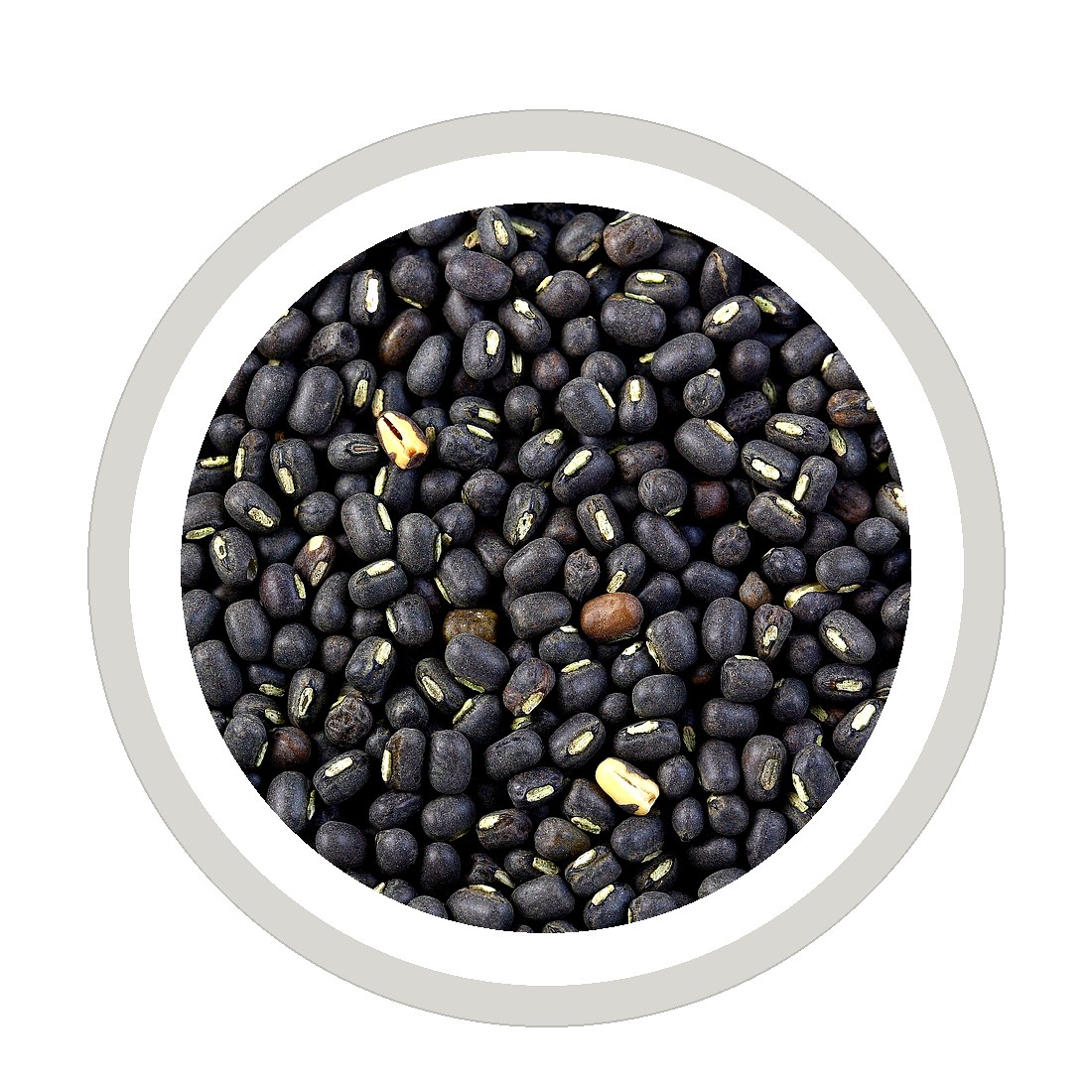 Black matpe / urad (black gram) pulses in a bowl — Mega Win export from Myanmar